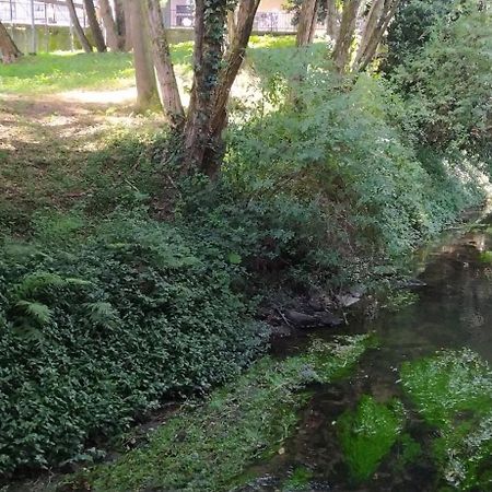 Moderno Y Luminoso 2 Dormitorios Con Todas Las Comodidades En Pontevedra Ciudad Eksteriør billede